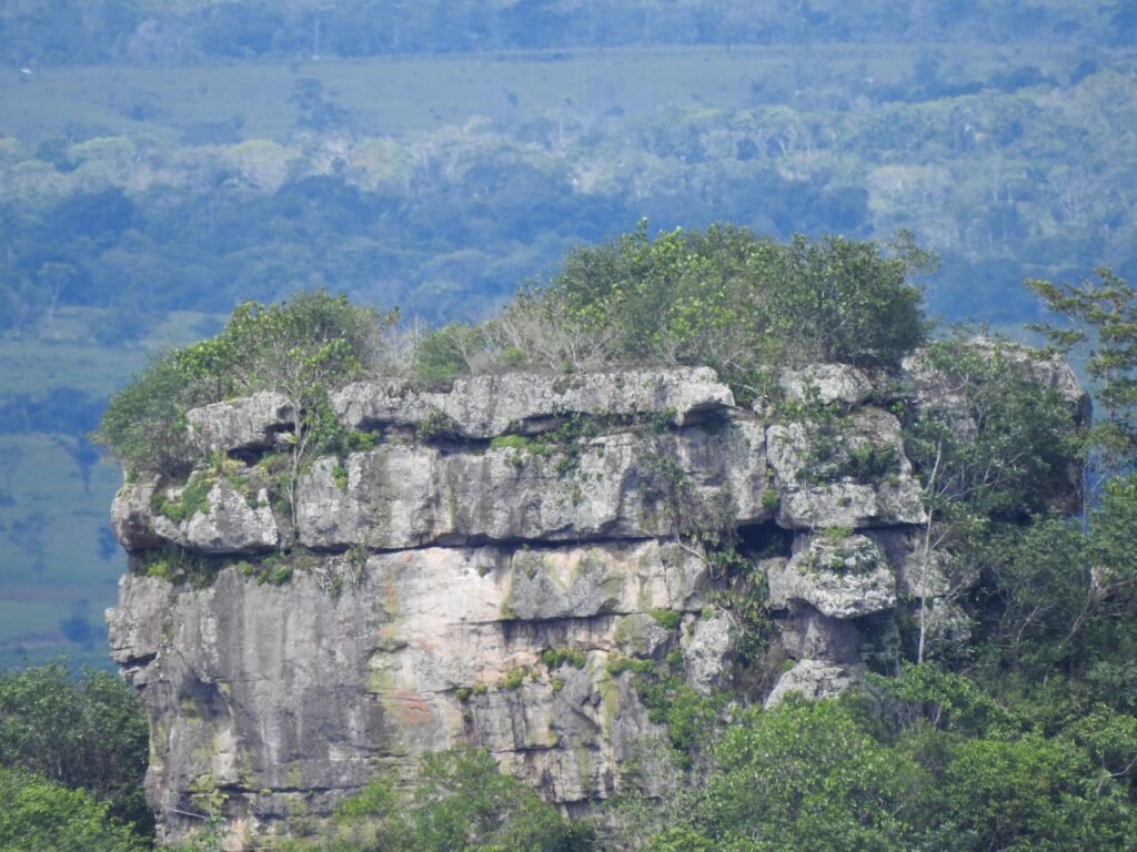 San José del Guaviare