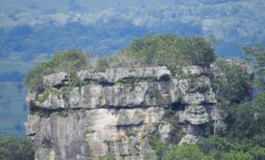 San José del Guaviare