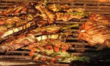 San José del Guaviare