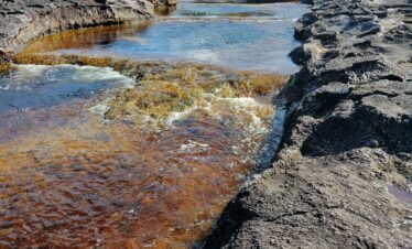 San José del Guaviare