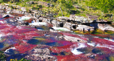CAÑO CRISTALES