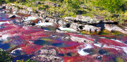CAÑO CRISTALES