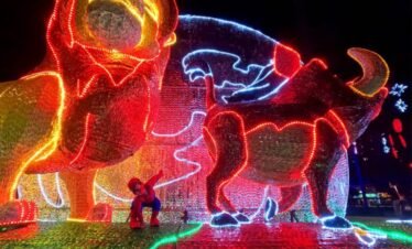 Transition words Only 10.1% of the sentences contain transition words, which is not enough. Use more of them. Consecutive sentences The text contains at least 3 consecutive sentences starting with the same word. Try to mix things up! Subheading distribution You are not using any subheadings, although your text is rather long. Try and add some subheadings. Flesch reading ease The copy scores 46.6 in the test, which is considered difficult to read. Try to make shorter sentences, using less difficult words to improve readability.