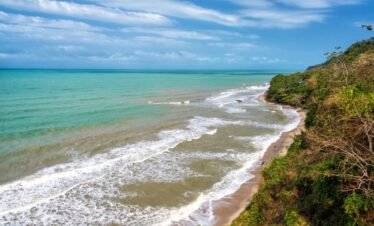 GUACHACA – SANTA MARTA – BURITACA – MENDIHUACA – PALOMINO 2025