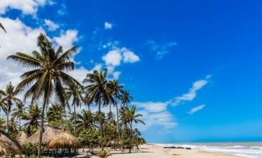 GUACHACA – SANTA MARTA – BURITACA – MENDIHUACA – PALOMINO 2025