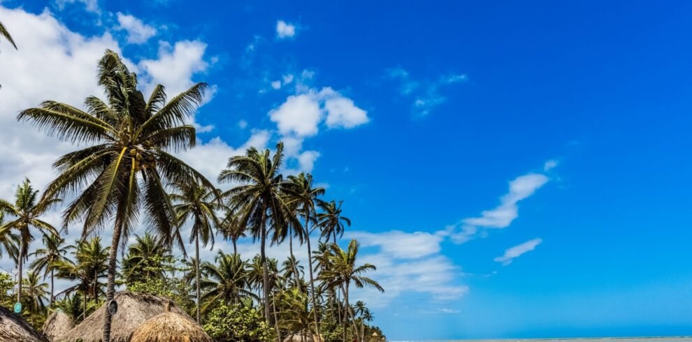 GUACHACA – SANTA MARTA – BURITACA – MENDIHUACA – PALOMINO 2025